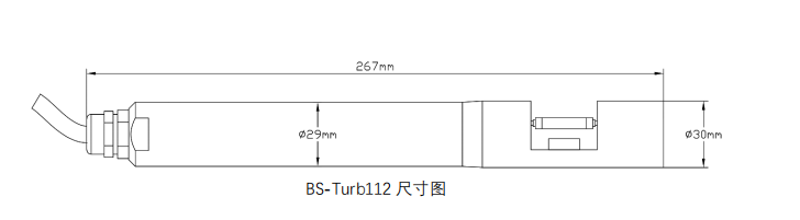 BS-TURB112水体浊度传感器尺寸图