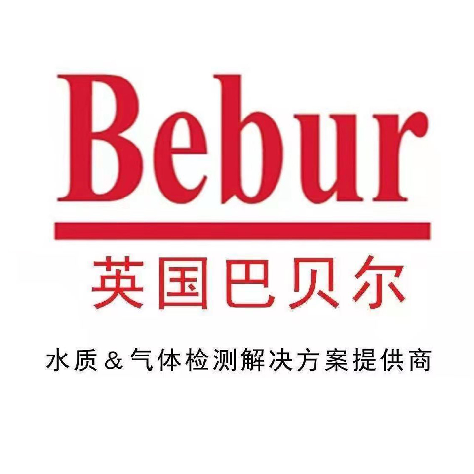 在线氢气检测仪生产厂家（英国Bebur公司）