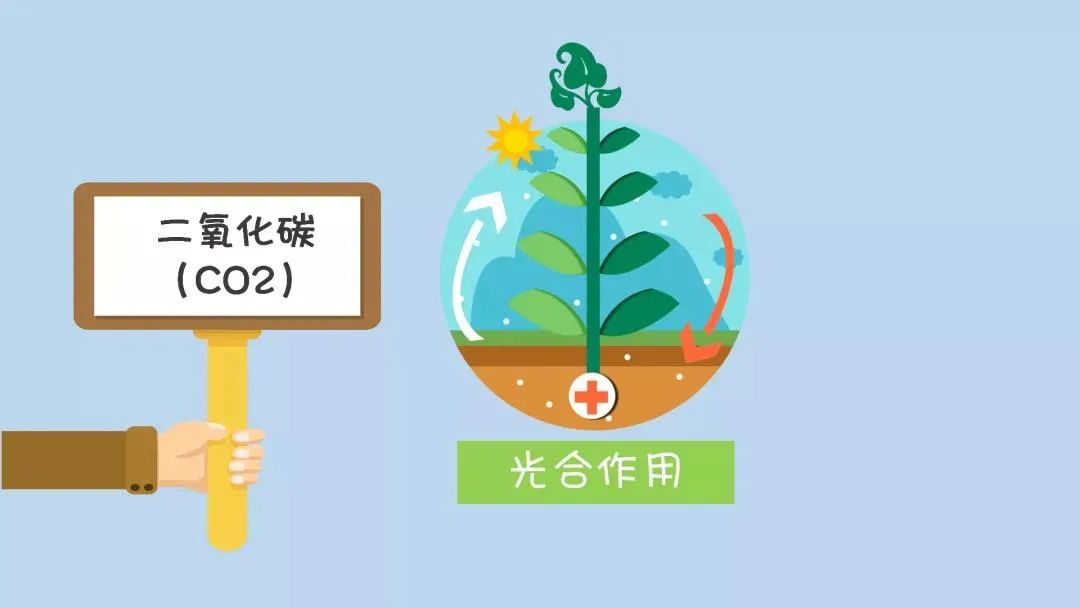 温室气体有哪几种之二氧化碳