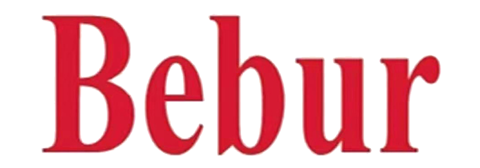 在线溶解氧仪品牌-Bebur(巴贝尔)品牌